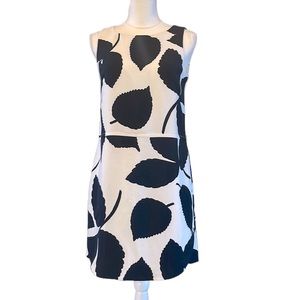 🆕 NWOT Ann Taylor Black & White Design Mini Dress Fully Lined Cute & Classy 6P